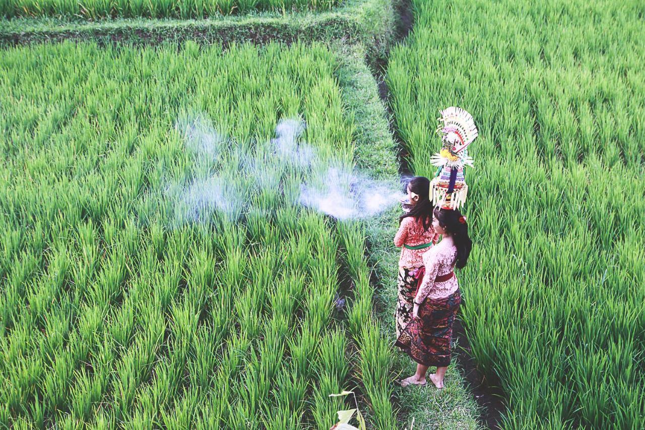 D'Legon Villas Ubud Dış mekan fotoğraf